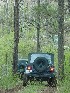 On the trail